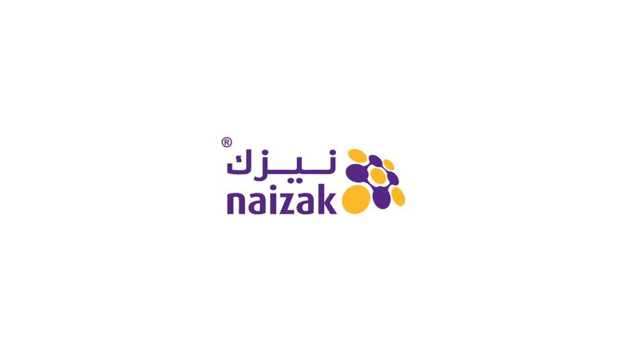 Naizak Global Engineering Systems